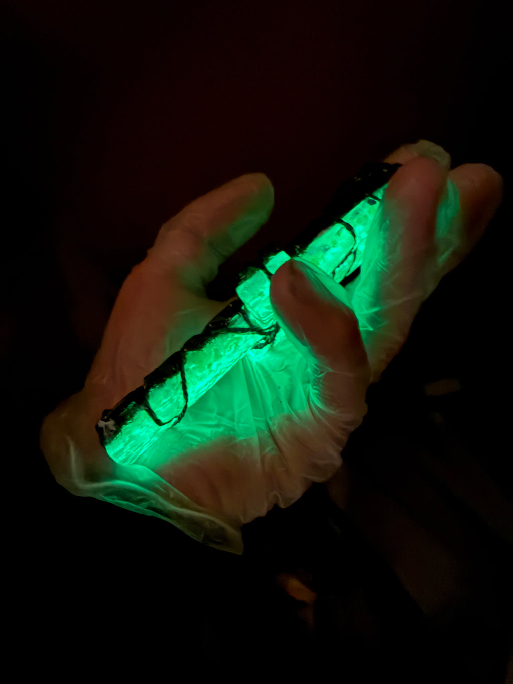 Quantum Jump Ankh Generator — Emerald Knight Royal Edition | Tensor Rodin Coil Engine | Timeline Accessor | Piezoelectric Conductive Matrix | 5G Field Shield (IN STOCK ready to ship)