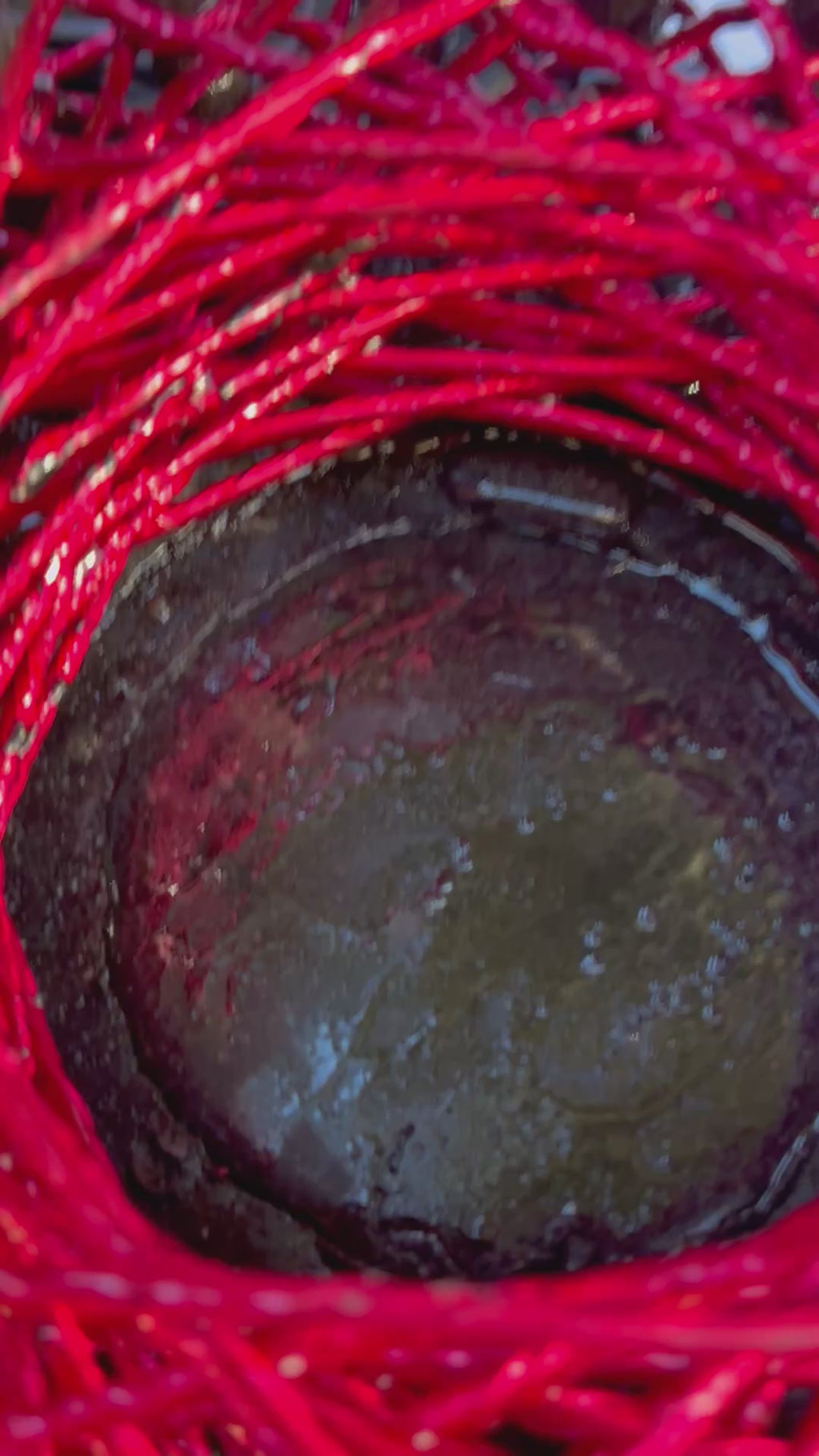 AUTO PORTABLE EDITION — SHUNGITE ENERGY MATRIX HARMONIZER (750A POWER SOURCE) 7 INCHEMERALD ANKH — 5G DARK KNIGHT PYRAMID EDITIONHIGH-FREQUENCY BIOFIELD AMPLIFIER • ZERO-POINT ENERGY ARCHITECTURE Ships JAN 1st